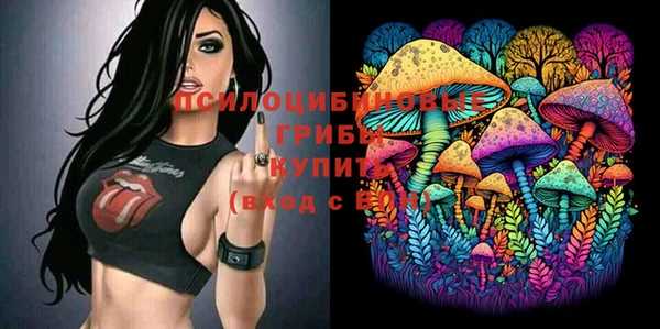 а пвп мука Аркадак