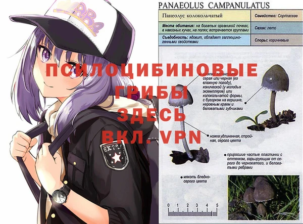 каннабис Нягань